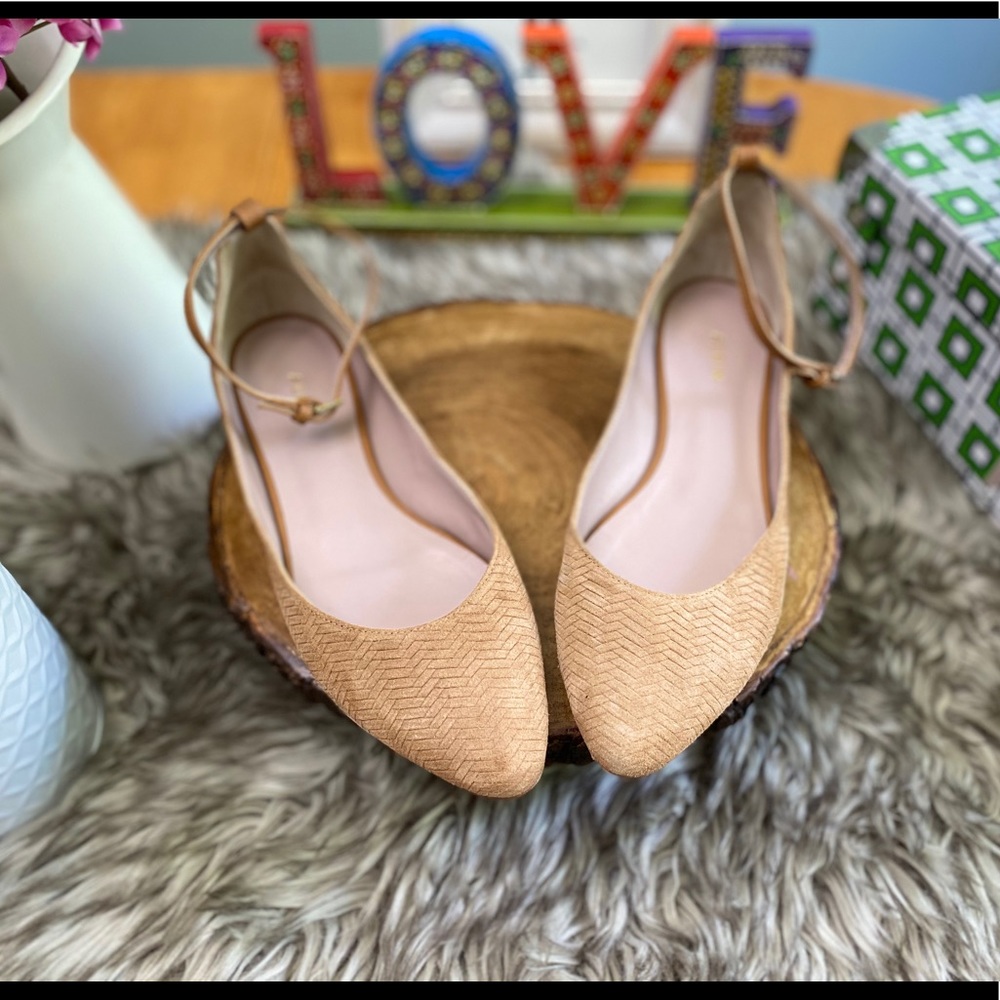 Aerin Suede Flats